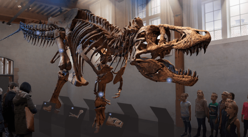 Tyrannosaurus Rex, Trix, at Naturalis museum in Leiden wit…