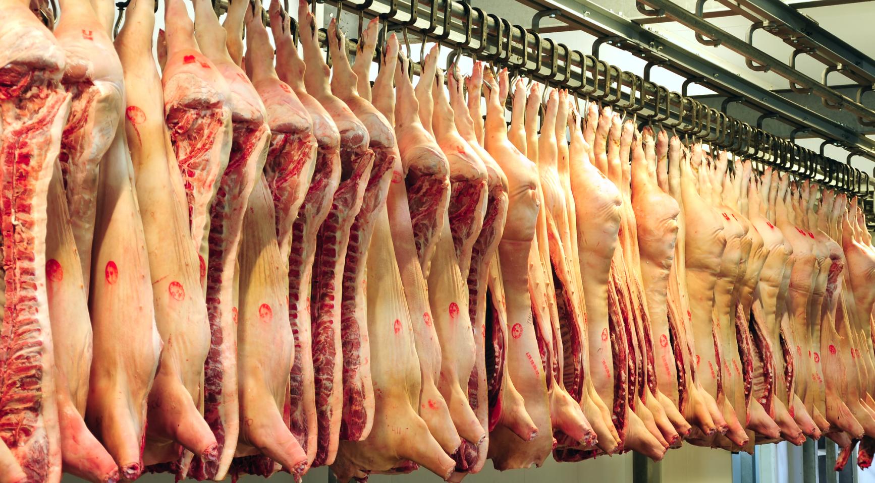 Dutch meat sector again promises improvement after new threat to ban foreign workers