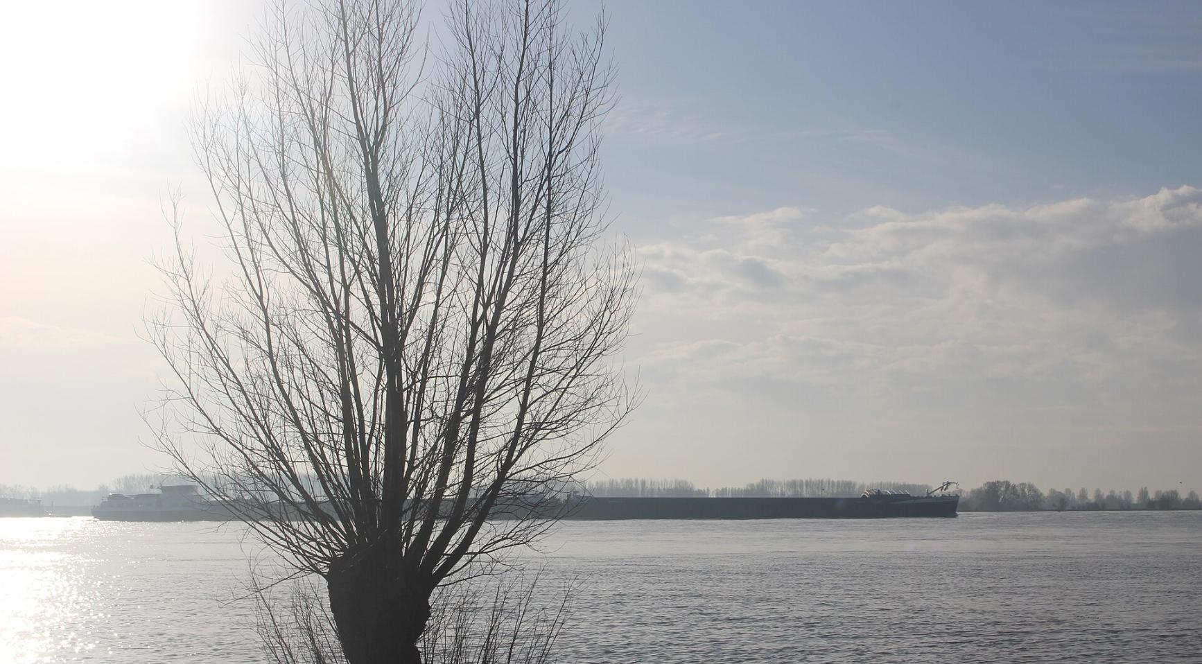 Vrouw, 42, verdrinkt in Waal nadat ze kinderen uit het water heeft gered