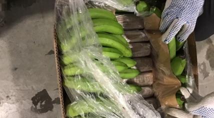 Cocaine found at the port of Vlissingen, hidden in a banana shipment from Ecuador, 14 January 2020