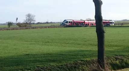 Arriva train derailed after crash with milk truck near Winsum, 18 Nov 2016