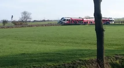 Arriva train derailed after crash with milk truck near Winsum, 18 Nov 2016