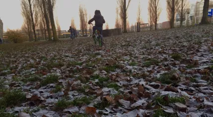 Cold morning in Amsterdam, 5 Dec 2016