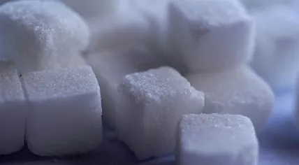 Sugar cubes
