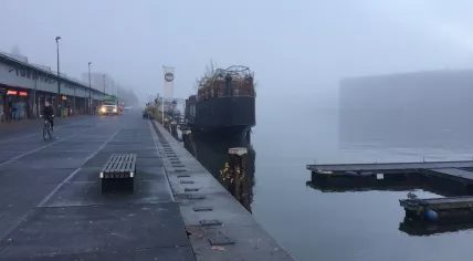 Fog on Amsterdam's Oostelijke Eilanden and KNSM island, 12 Dec 2016
