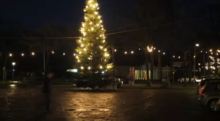 Christmas tree in Havelte