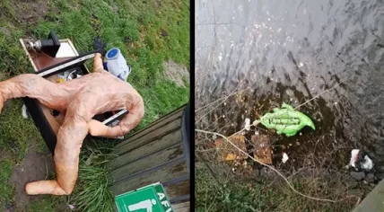 "Dead body" and "crocodile" found in Roosendaal and Amsterdam respectively, 25 Dec 2016