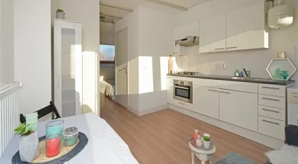 19 m2 Amsterdam apartment listed for sale at 159 thousand euros, 18 Jan 2017
