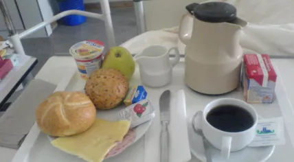 Hospital food