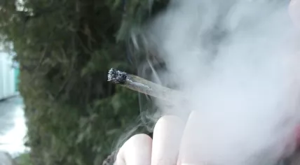Smoking a joint