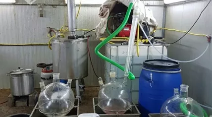 Drug lab found in property on Hoogeindseweg in Leende, 23 Feb 2017