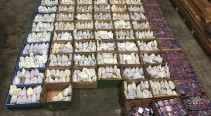 1,100 kilos of heroin seized at the port of Antwerp, shipped from Iran
