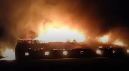 Some 2,000 pigs killed in a barn fire on Zwalustraat in Mill, Noord-Brabant, 15 Feb 2017