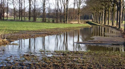 A storm damaged silo leaked 3 million liters of manure into Aalten, Gelderland, 24 Feb 2017
