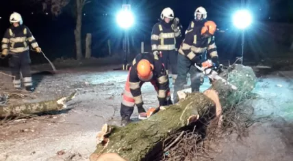 Firefighters in Geffen, Brabant deal with a tree blown over by a storm, 23 Feb 2017