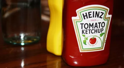Heinz ketchup 