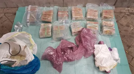 €747,000 and 1.5 kilos of cocaine found in German man's car in Rotterdam, March 2017