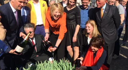 Amsterdam Tulp Festival: Tulips everywhere