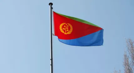 Eritrean flag