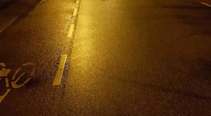 Dead animals found on President Kennedylaan in Oegstgeest, 28 Apr 2017