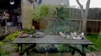 Snow and Hail fall in Friesland