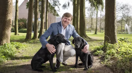 King Willem-Alexander, 2017