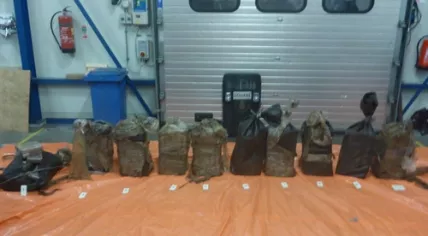 Some 200 kilos of cocaine found on a Colombian coal carrier in the port of Rotterdam, March 2017