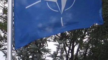 The NATO flag