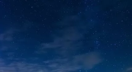 Meteor photographed during the maximum of the Perseid swarm, 12 Aug 2016