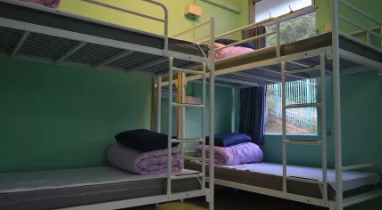 Bunk beds