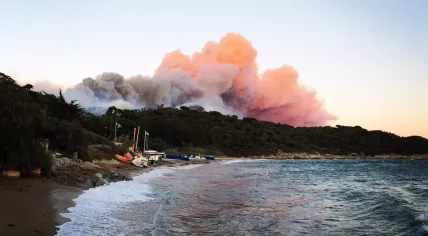 Forest fire raging in La Croix-Valmer, France, 24 Jul 2017