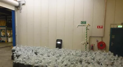 2,500 kilos of hemp found in a charcoal shipment from Nigeria in the port of Rotterdam, 18 Jul 2017