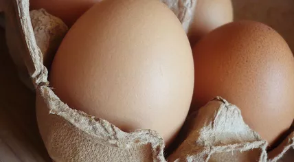 Carton of eggs