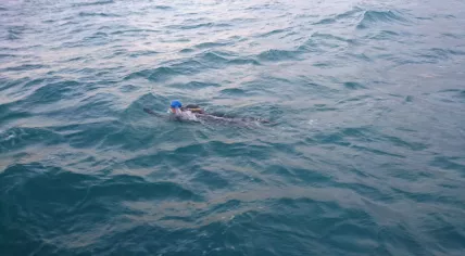 Dutch swimmer Maarten van der Weijden crosses the English Channel twice in a row, 13 Aug 2017