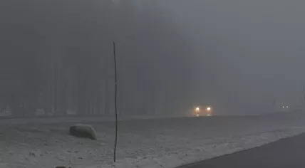 A foggy road
