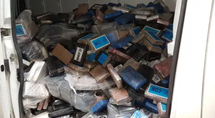 3,800 kilos of cocaine intercepted at the port of Antwerp, Sept 2017