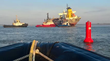 The Seatrout stranded on the Westerschelde near Bath, Zeeland, 20 Sept 2017