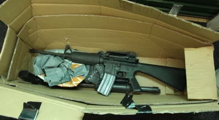 Weapons found in a storage box in Eindhoven, 12 Sept 2017