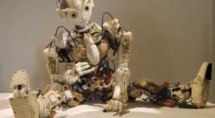 Robot