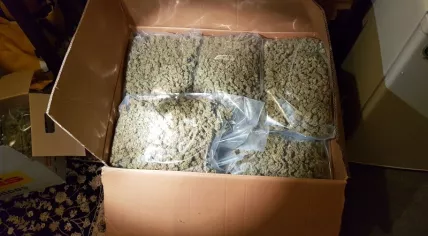 Soft drugs seized in Amsterdam Zuidoost in an investigation into an Irish-Dutch drug gang, 15 Nov 2017