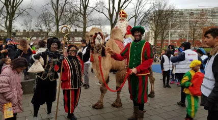 Sinterklaas arrives in Amsterdam-Osdorp on a camel, 18 Nov 2017