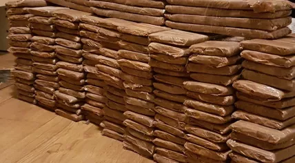 Over 80 kilos of cocaine found in a home on Ladogameerhof in Amsterdam, Nov 2017