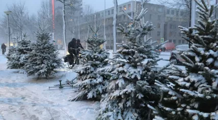 Snow in Amsterdam, 11 Dec 2017