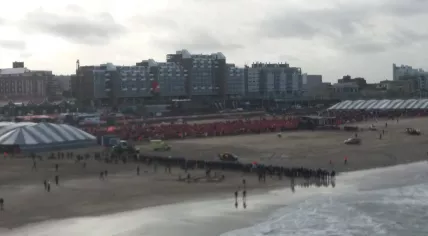 Thousands line up in Schevningen, The Hague to take the New Year's dive