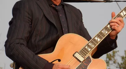 Elvis Costello