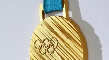 Winter Olympics 2018 Gold Medal
