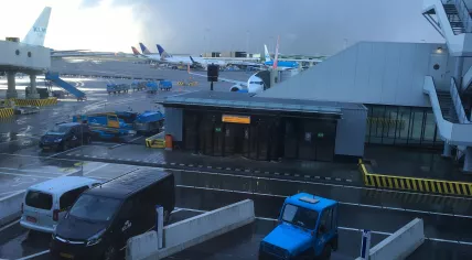 Planes at Schiphol Airport