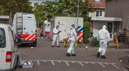 Forensic investigators at the scene of a murder