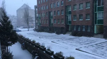 Snowfall in Amsterdam Oost, 28 Feb 2018