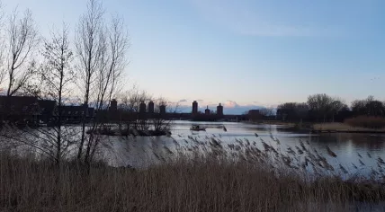 The Böttgerwater, in Ypenburg, Den Haag, where police were searching for missing teen Orlando Boldewijn. 26 Feb. 2018